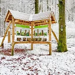 Alte Schule Winterberg Luxury Apartments